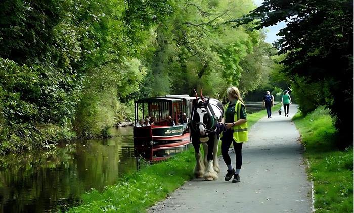 Llangollen Wharf Horse Drawn Boat as it travels a long the Llangollen canal.